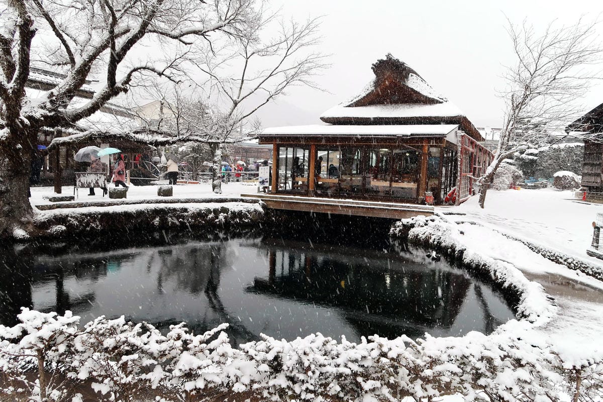 IMG_3525_調整大小 (2) IMG_3525_調整大小 (2)