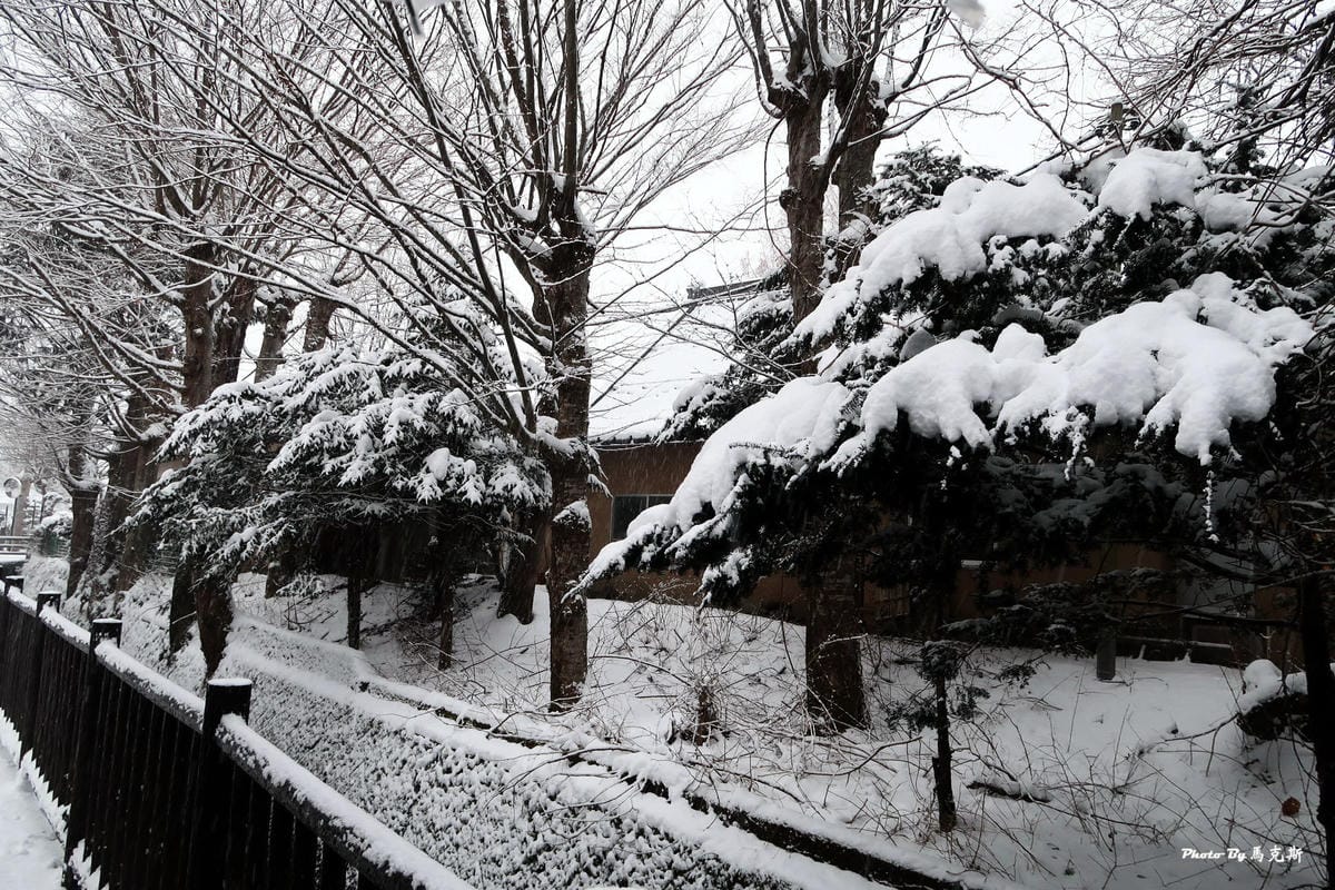 IMG_3520_調整大小 IMG_3520_調整大小