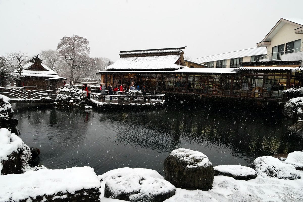 IMG_3535_調整大小 IMG_3535_調整大小