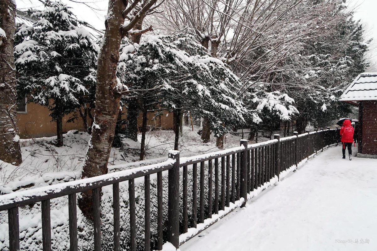 IMG_3510_調整大小 IMG_3510_調整大小