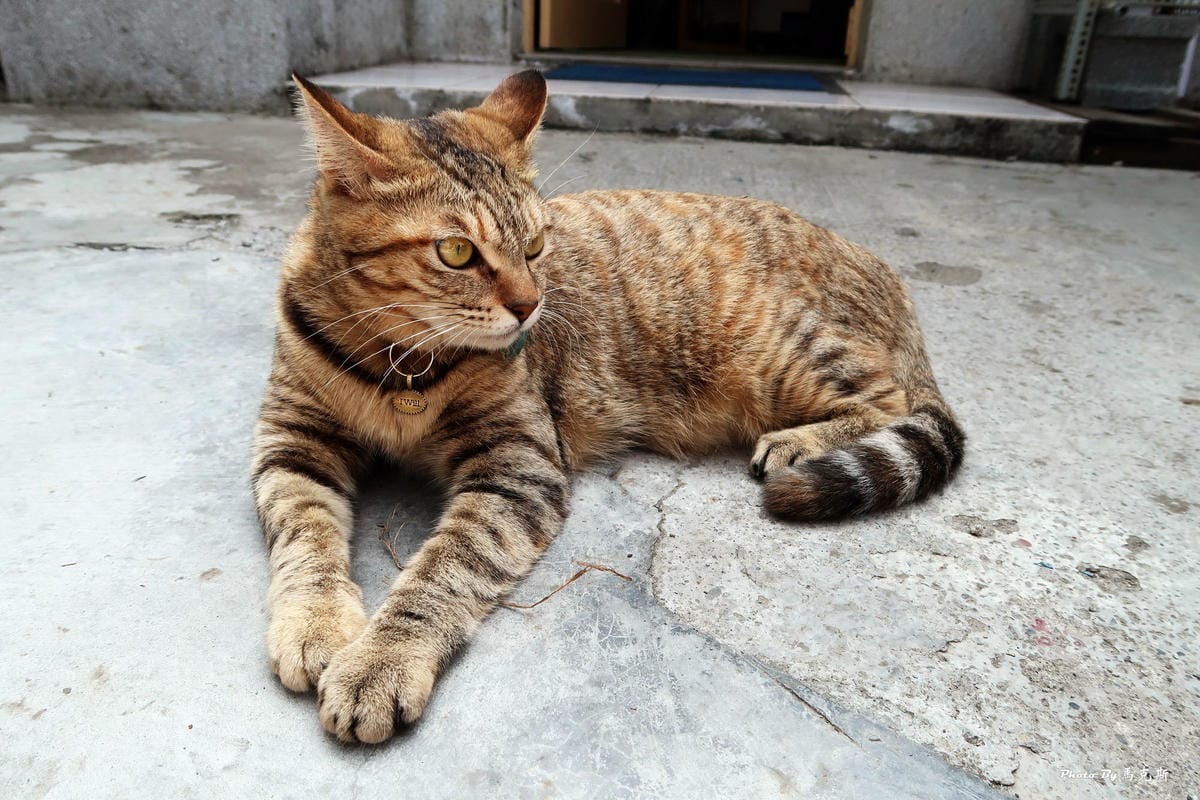 IMG_5367_調整大小 IMG_5367_調整大小