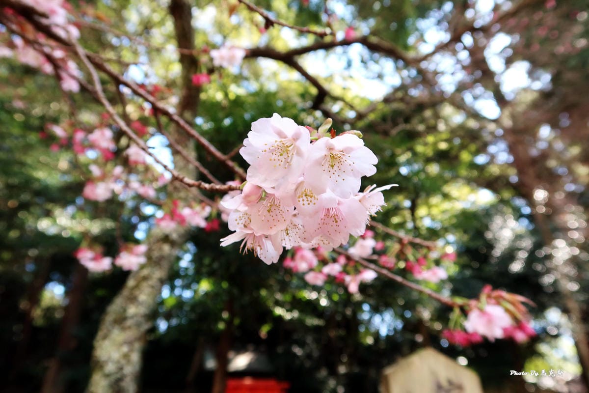 IMG_3360_調整大小 IMG_3360_調整大小