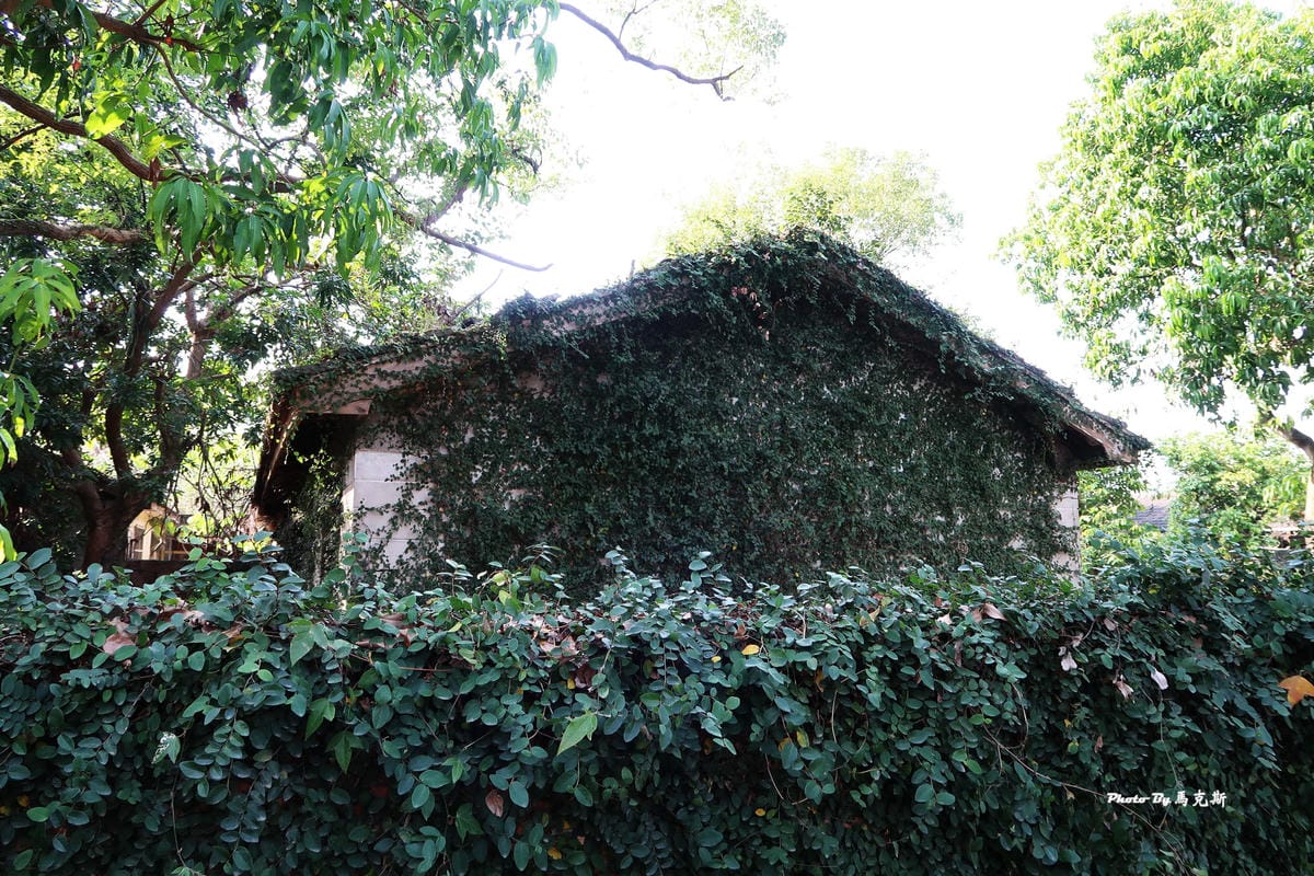 IMG_5291_調整大小 IMG_5291_調整大小