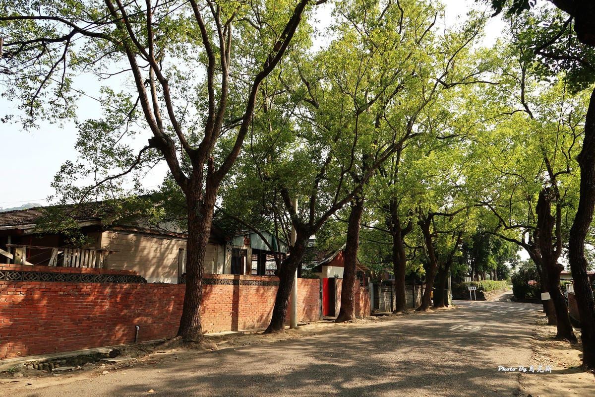 IMG_5295_調整大小 IMG_5295_調整大小