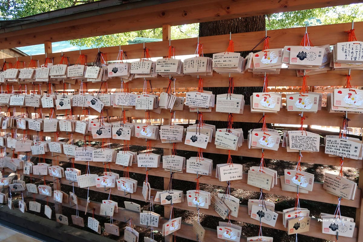 IMG_3354_調整大小 IMG_3354_調整大小