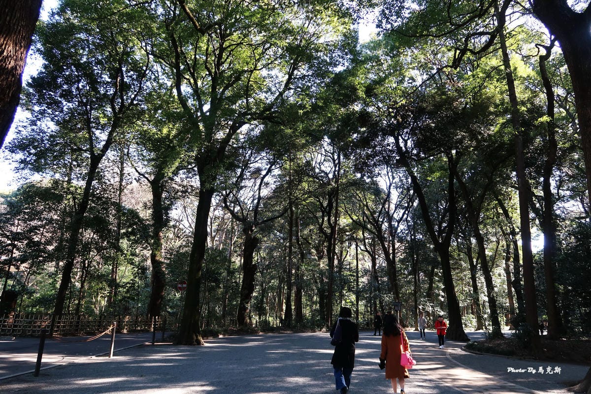 IMG_3310_調整大小 IMG_3310_調整大小