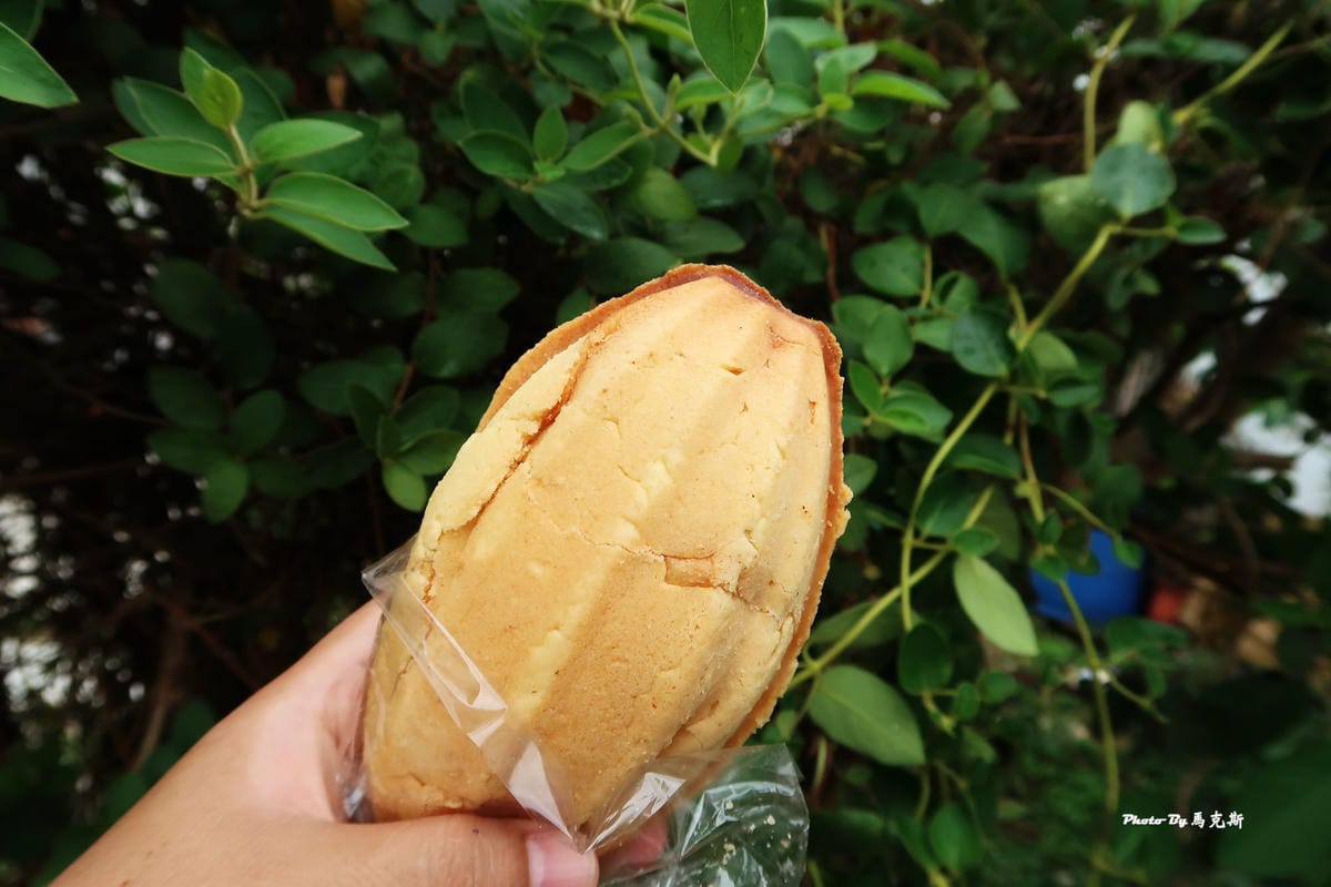 IMG_9455_調整大小 IMG_9455_調整大小