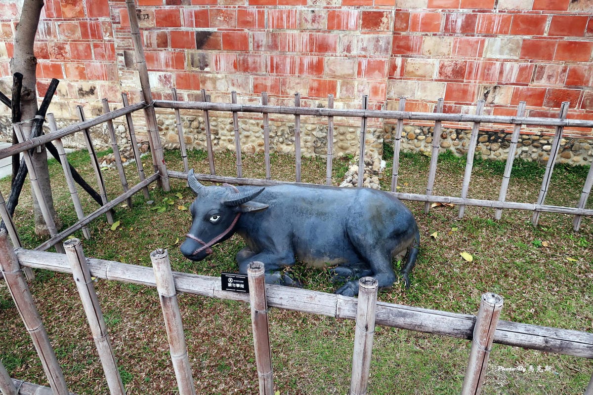 IMG_7140_調整大小