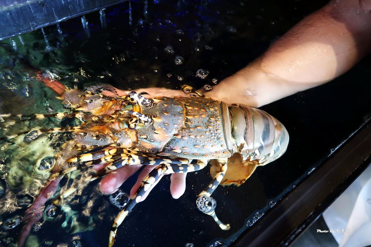 IMG_4214_調整大小 IMG_4214_調整大小