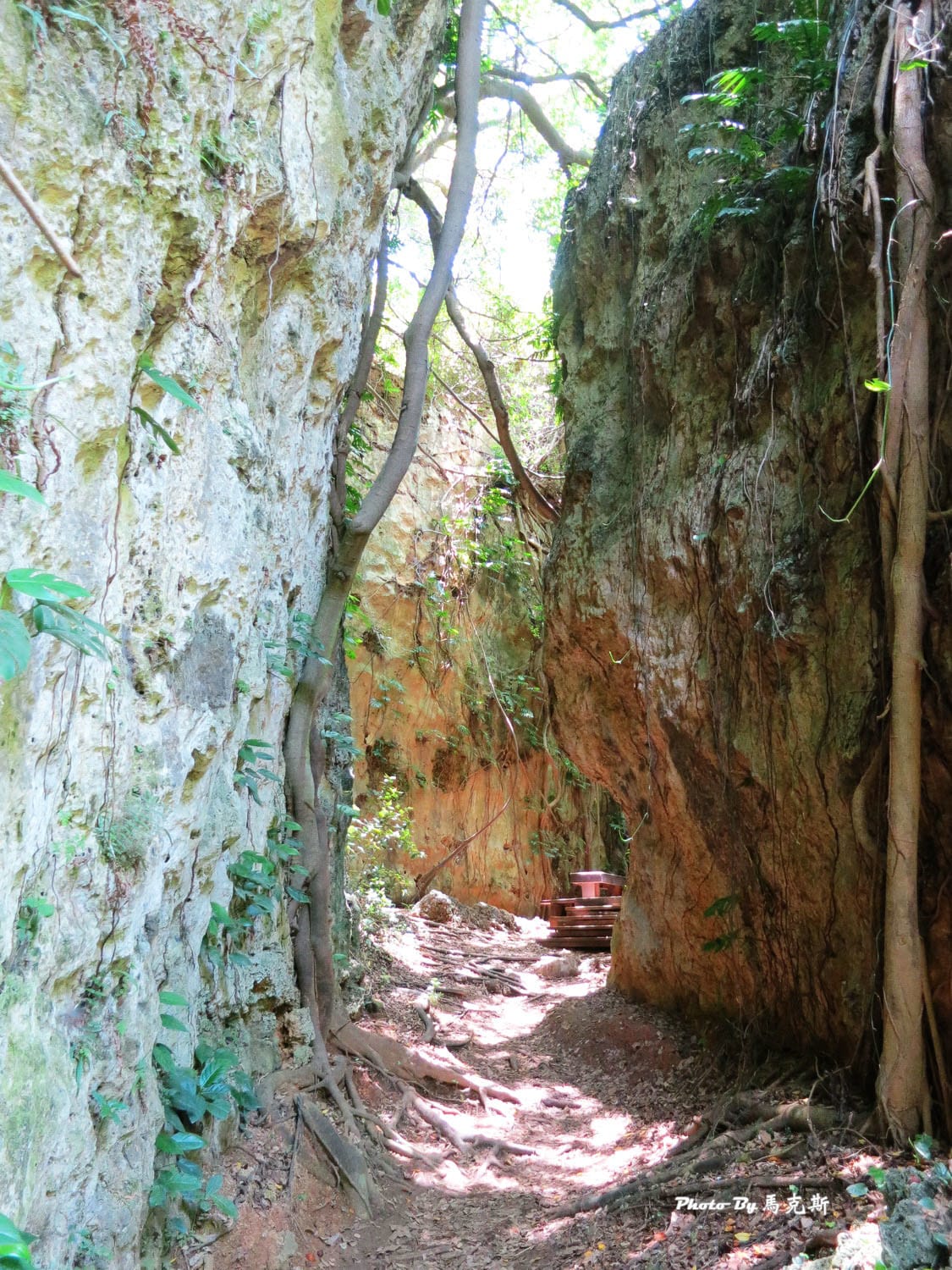 IMG_7568_調整大小 IMG_7568_調整大小