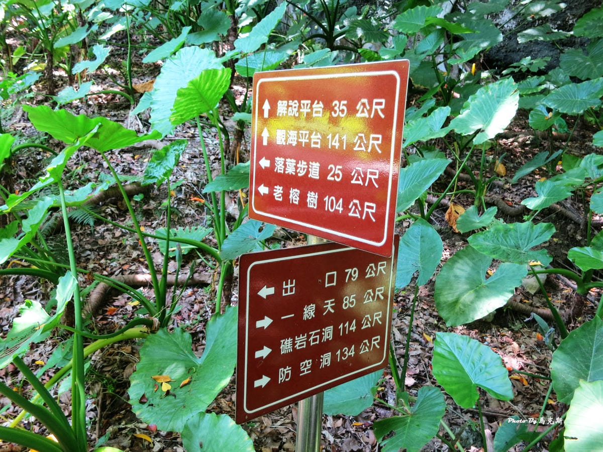 IMG_7540_調整大小 IMG_7540_調整大小