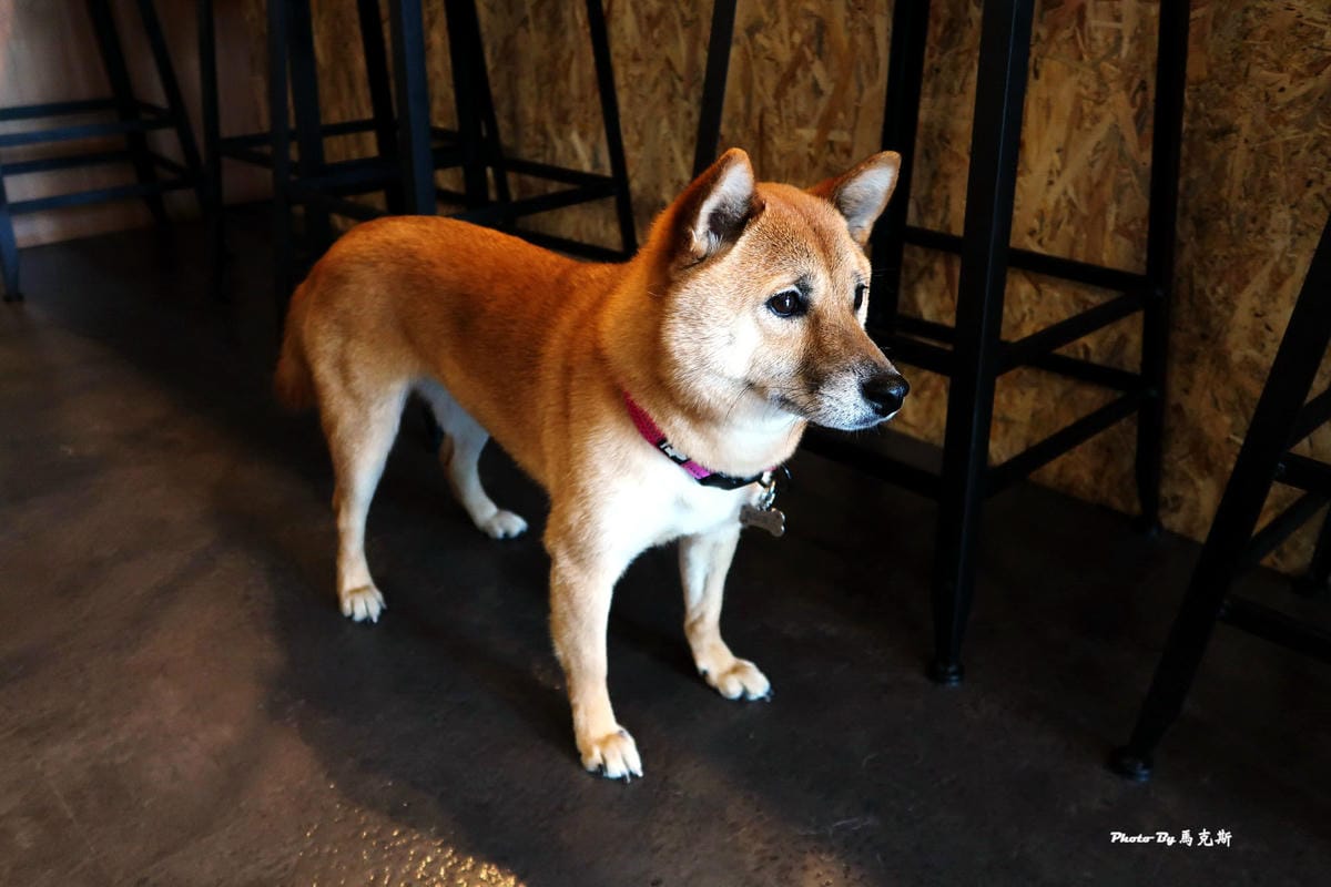 IMG_9135_調整大小 (3) IMG_9135_調整大小 (3)