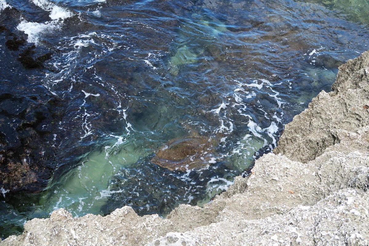 IMG_6137_調整大小 IMG_6137_調整大小