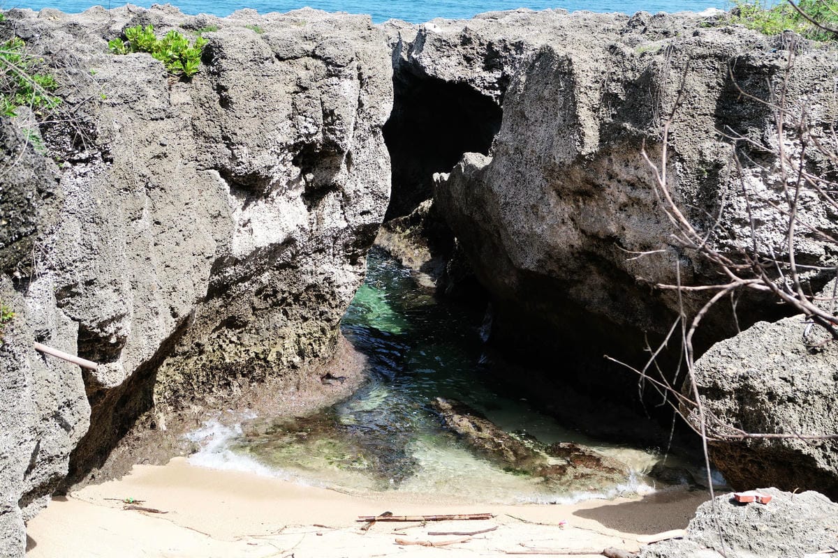 IMG_6115_調整大小 IMG_6115_調整大小