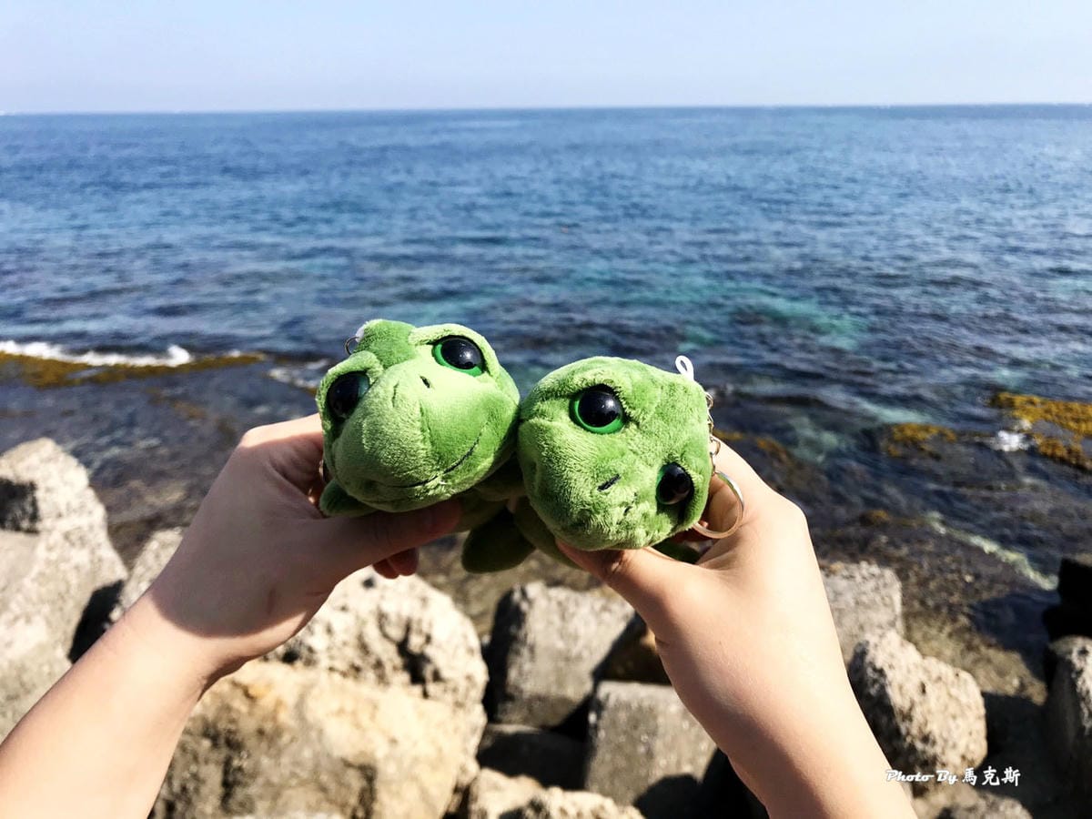 【小琉球景點推薦】龍蝦洞|珊瑚礁特殊景觀地形 島上小祕境 曾 【小琉球景點推薦】龍蝦洞|珊瑚礁特殊景觀地形 島上小祕境 曾