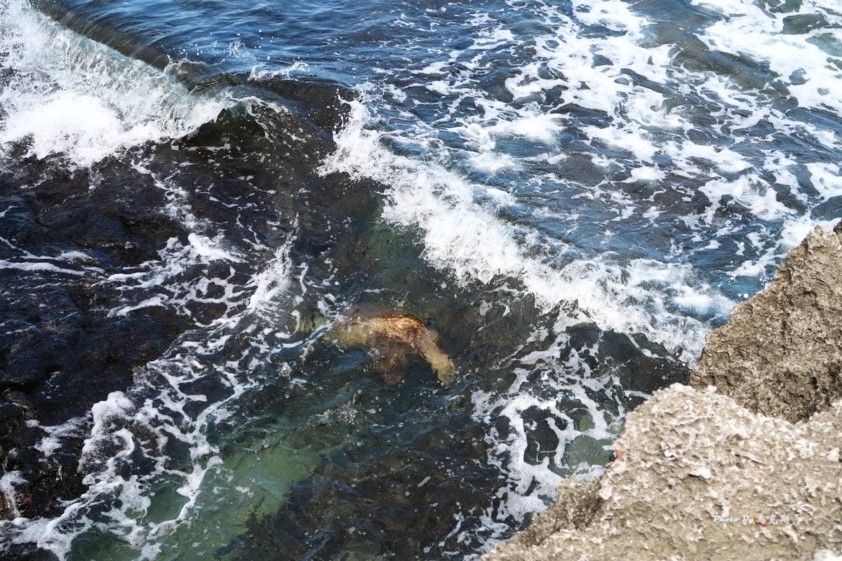 IMG_6140_調整大小 IMG_6140_調整大小