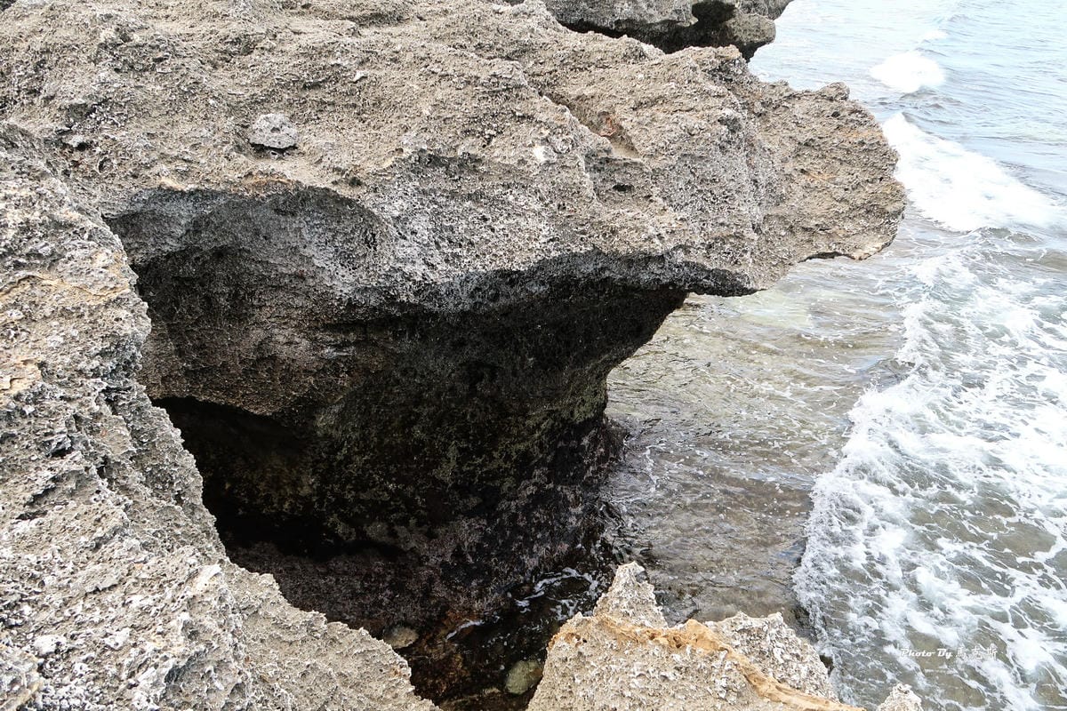 IMG_6135_調整大小 IMG_6135_調整大小