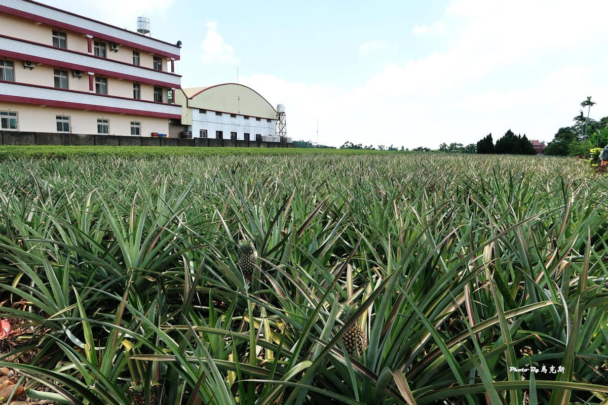 IMG_8390_調整大小 IMG_8390_調整大小