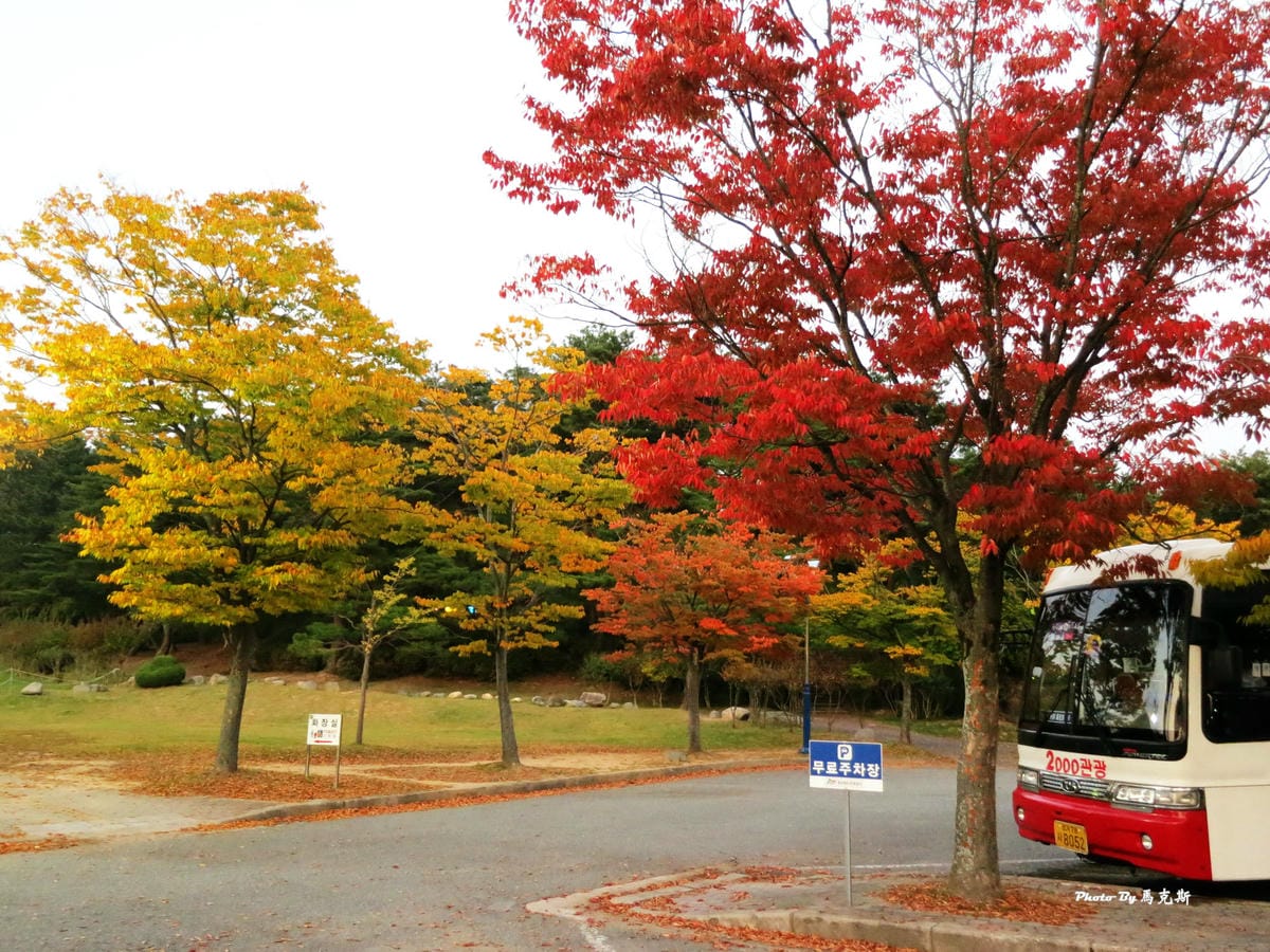 IMG_7635_調整大小 IMG_7635_調整大小