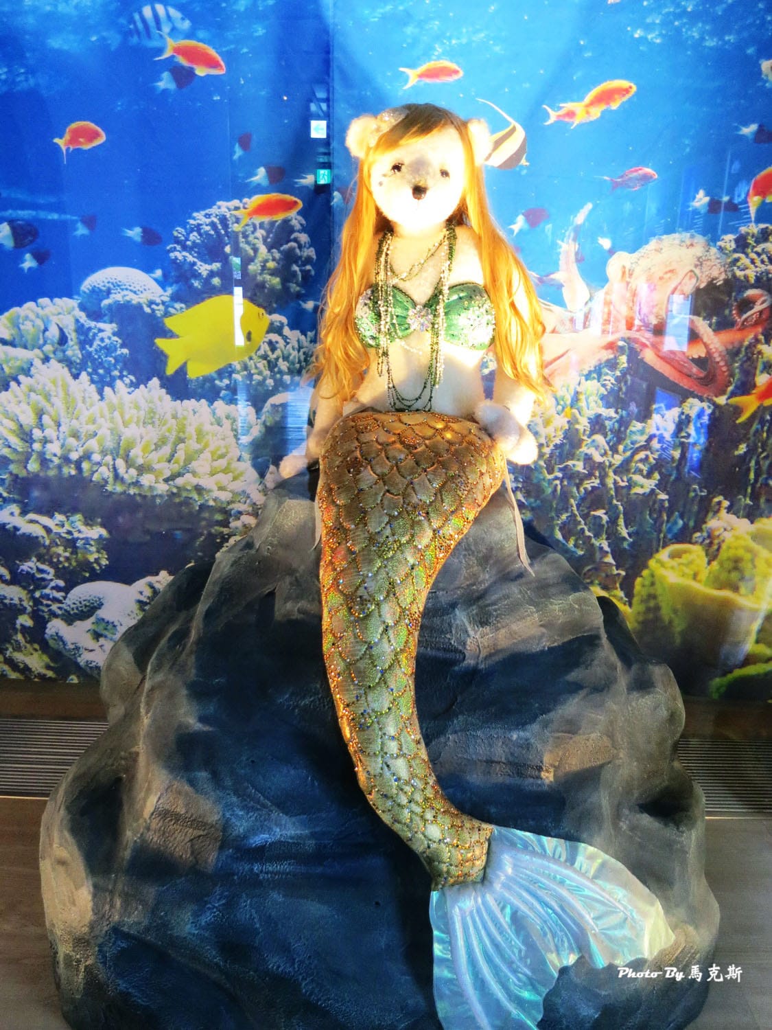 IMG_7585_調整大小 IMG_7585_調整大小