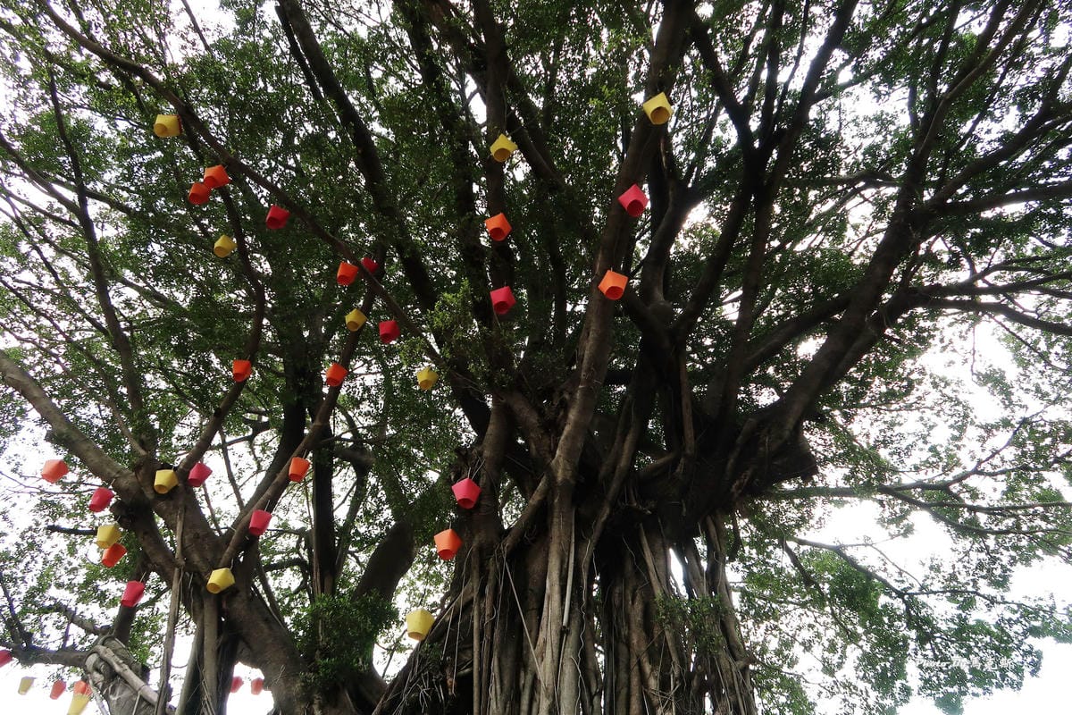 IMG_0050_調整大小 IMG_0050_調整大小