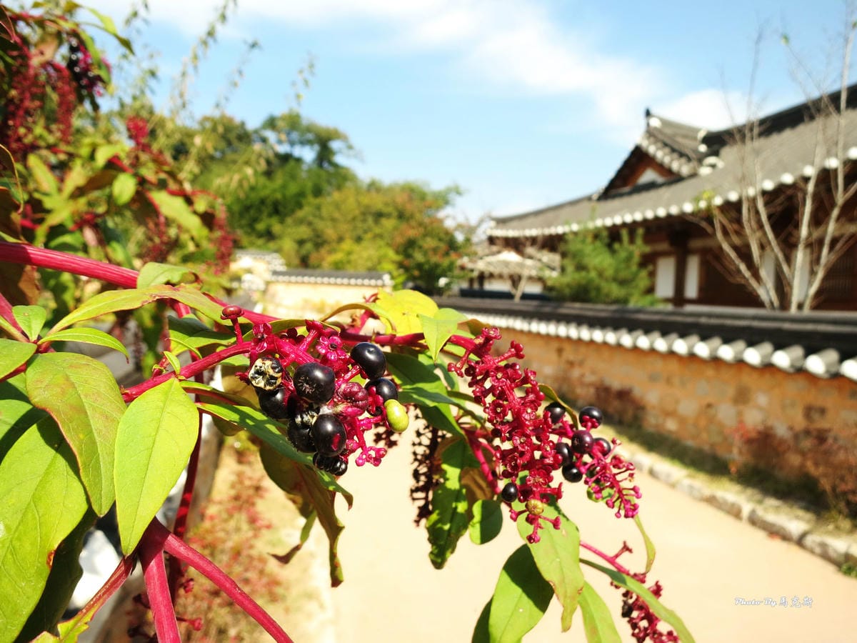 IMG_7655_調整大小 IMG_7655_調整大小