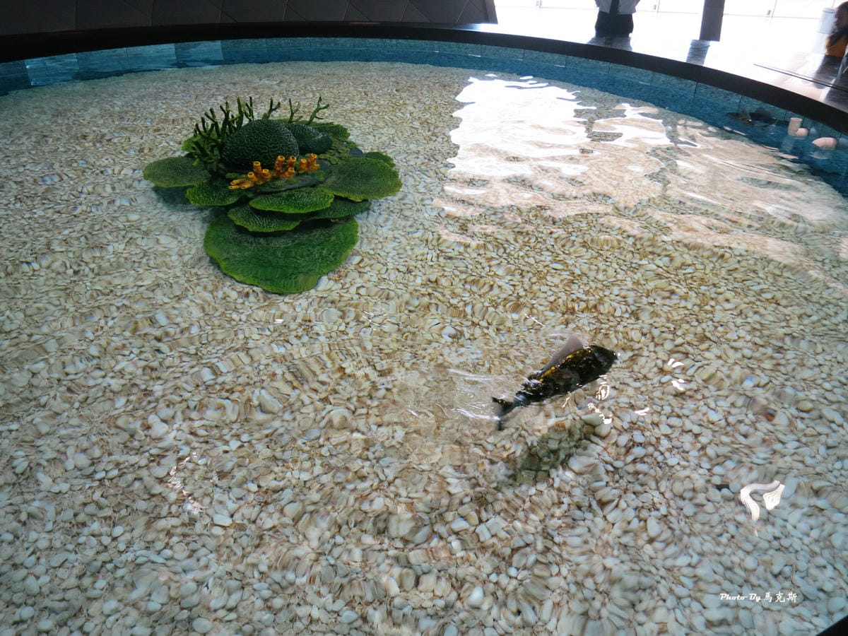 IMG_8110_調整大小 IMG_8110_調整大小