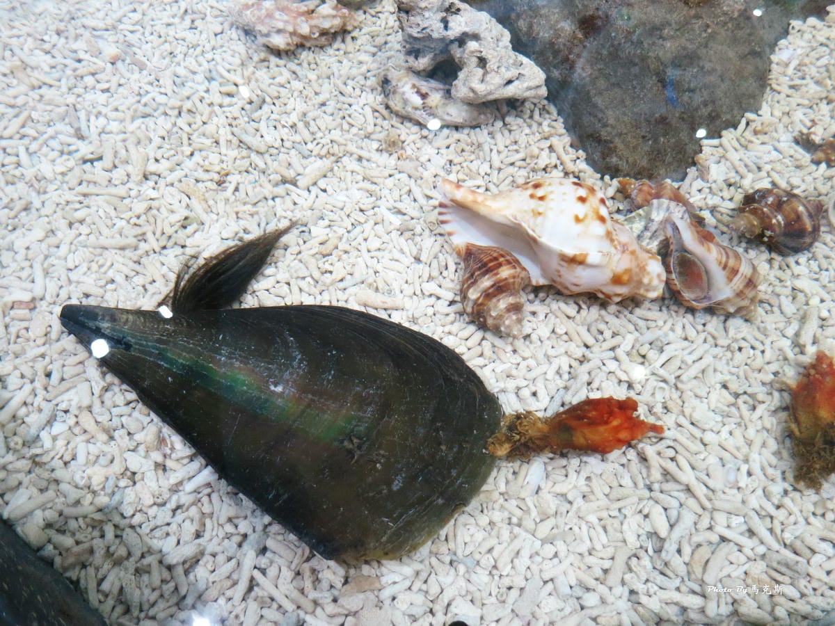 IMG_8097_調整大小 IMG_8097_調整大小