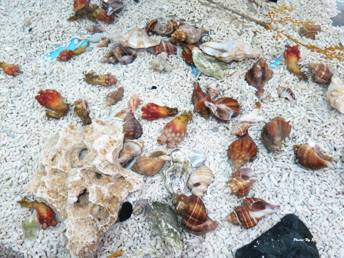 IMG_8095_調整大小 (2) IMG_8095_調整大小 (2)