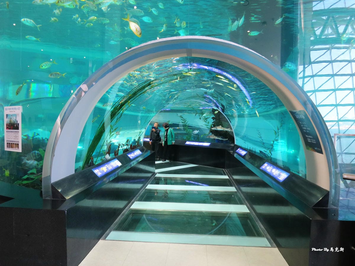 IMG_8080_調整大小 IMG_8080_調整大小