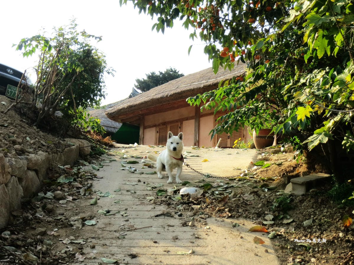 IMG_7467_調整大小 IMG_7467_調整大小