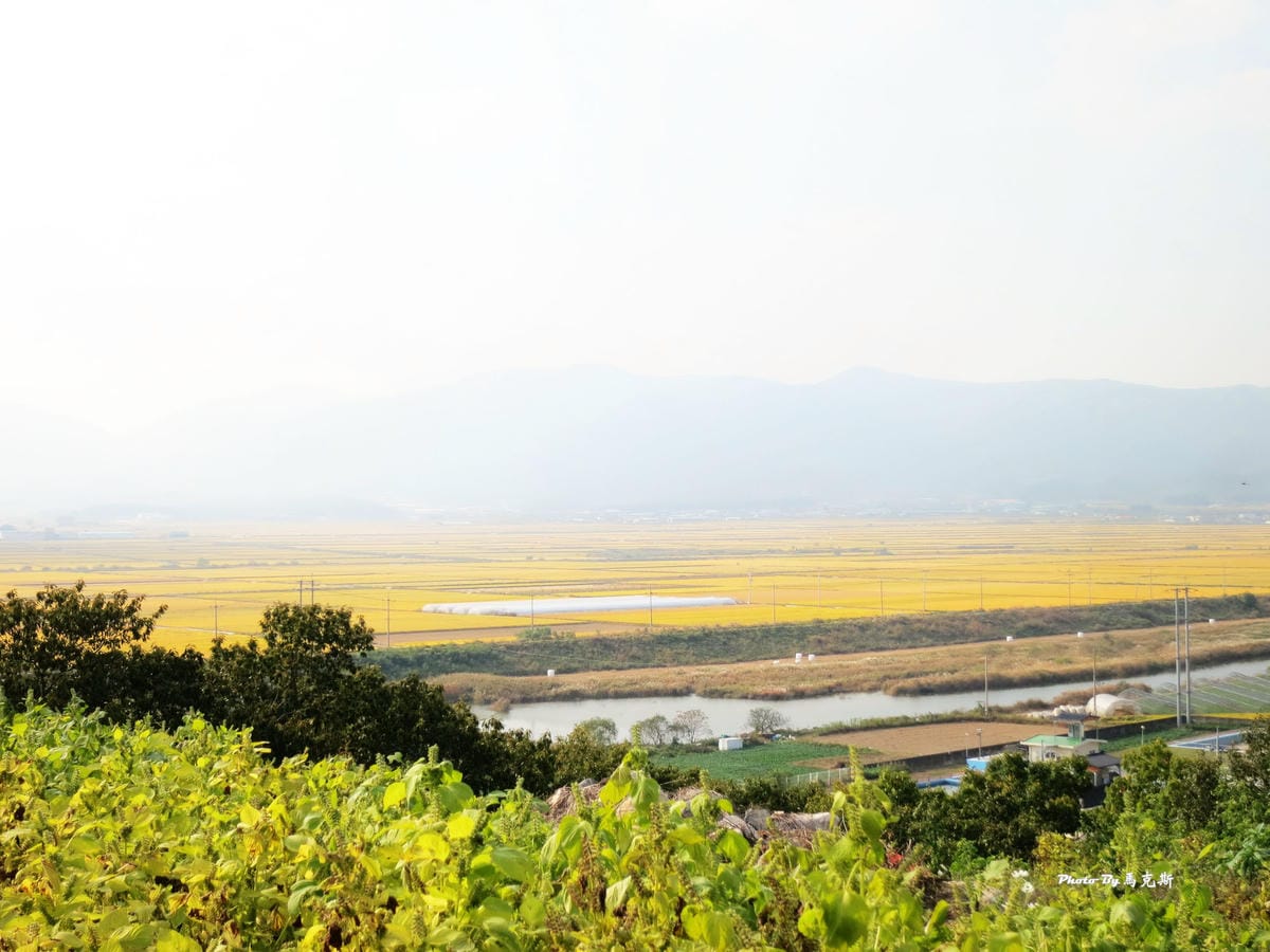 IMG_7435_調整大小 IMG_7435_調整大小