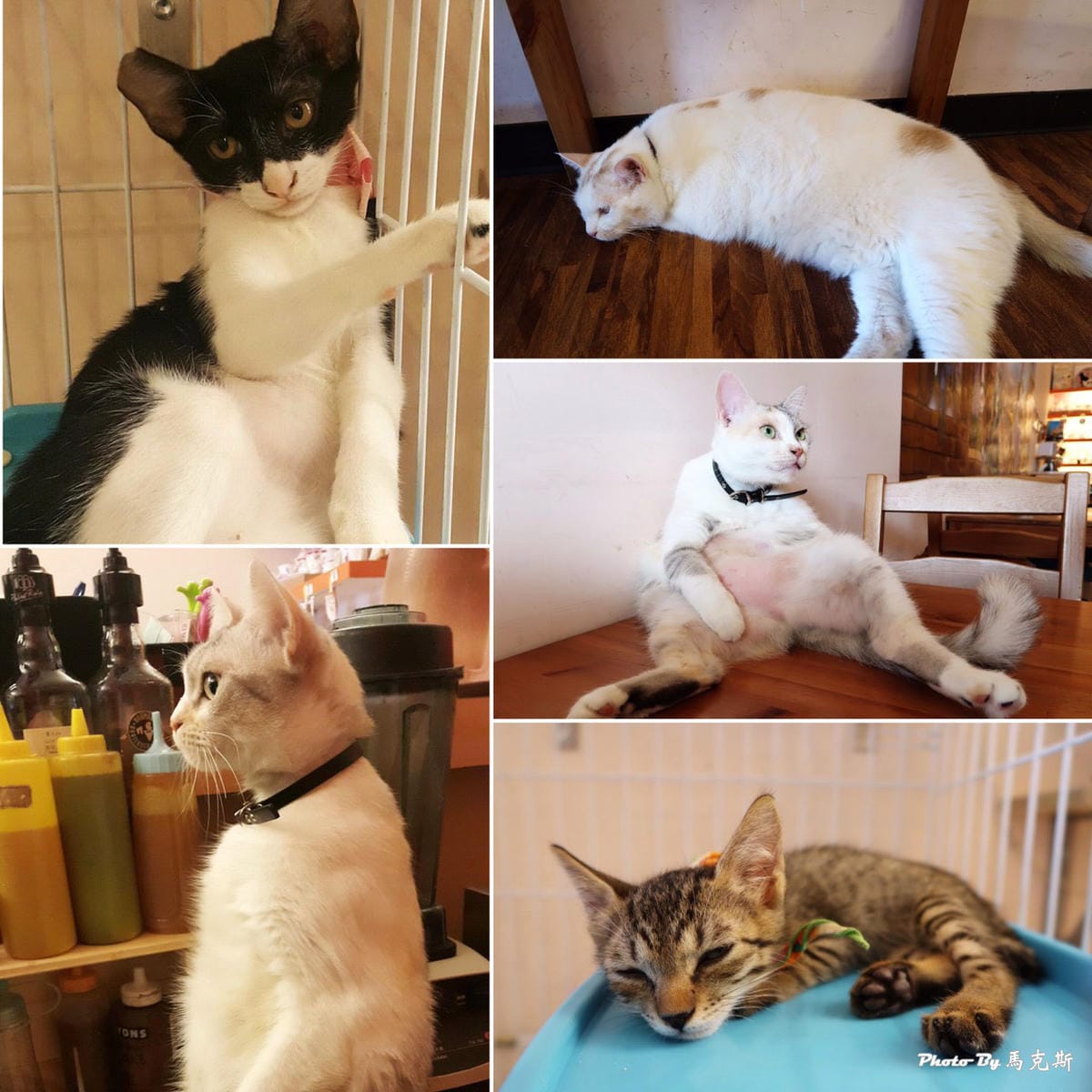 IMG_2419_調整大小 IMG_2419_調整大小