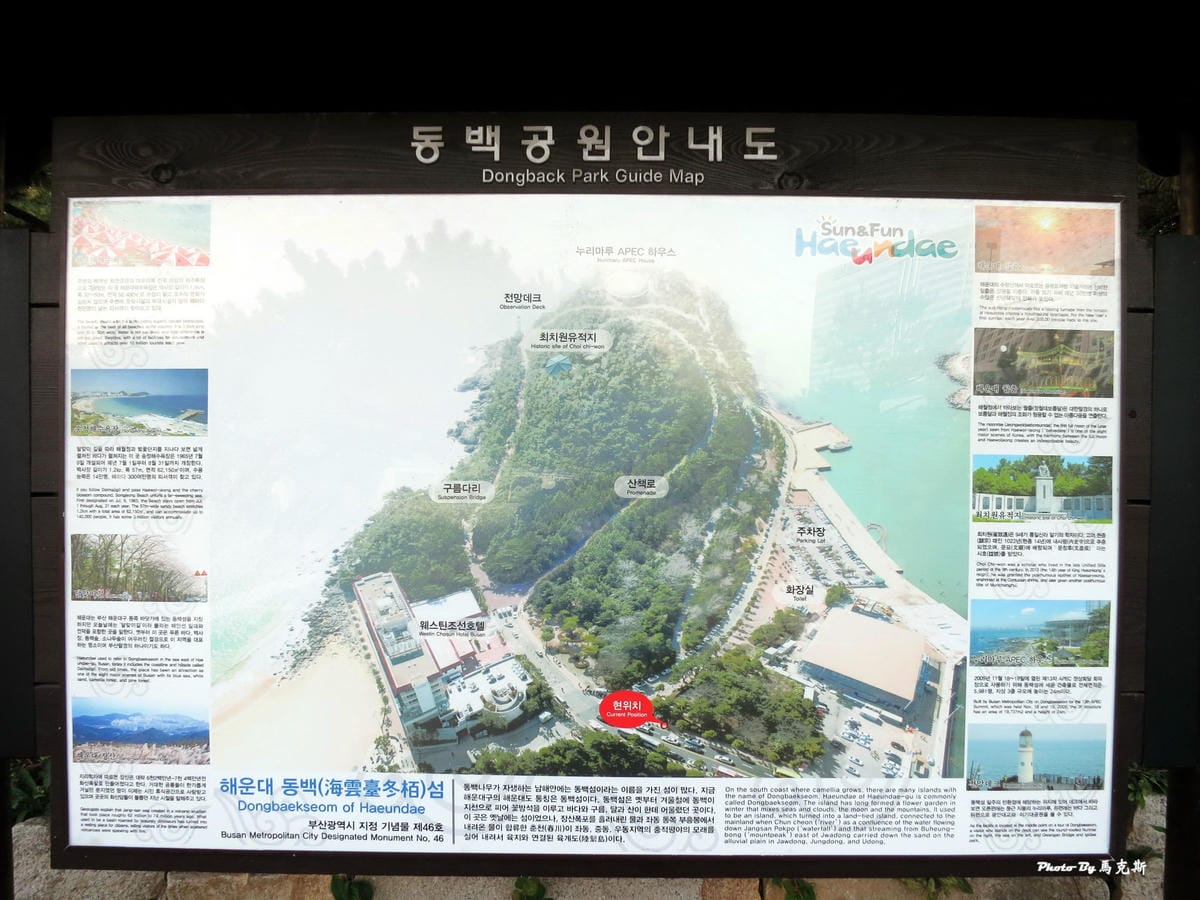 IMG_8205_調整大小 IMG_8205_調整大小