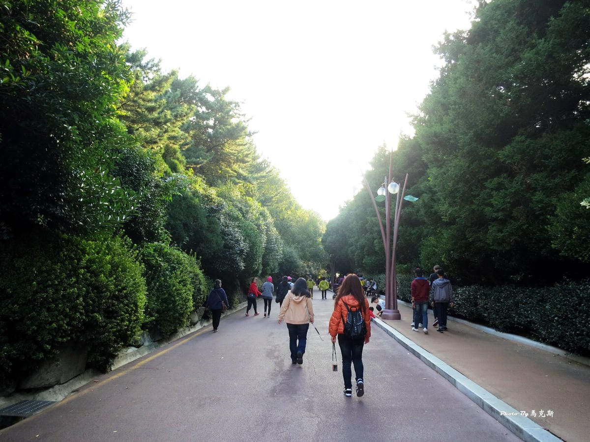 IMG_8210_調整大小 IMG_8210_調整大小