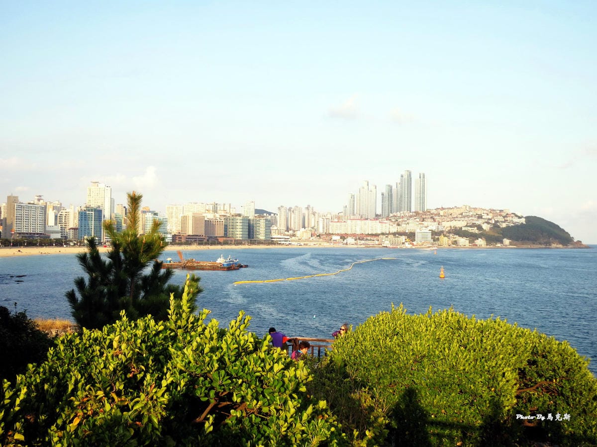 IMG_8233_調整大小 (2) IMG_8233_調整大小 (2)