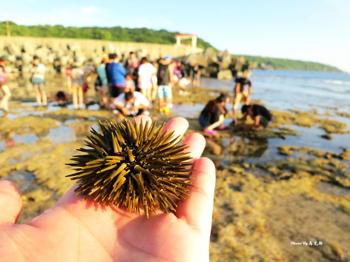 IMG_7400_調整大小 (2) IMG_7400_調整大小 (2)