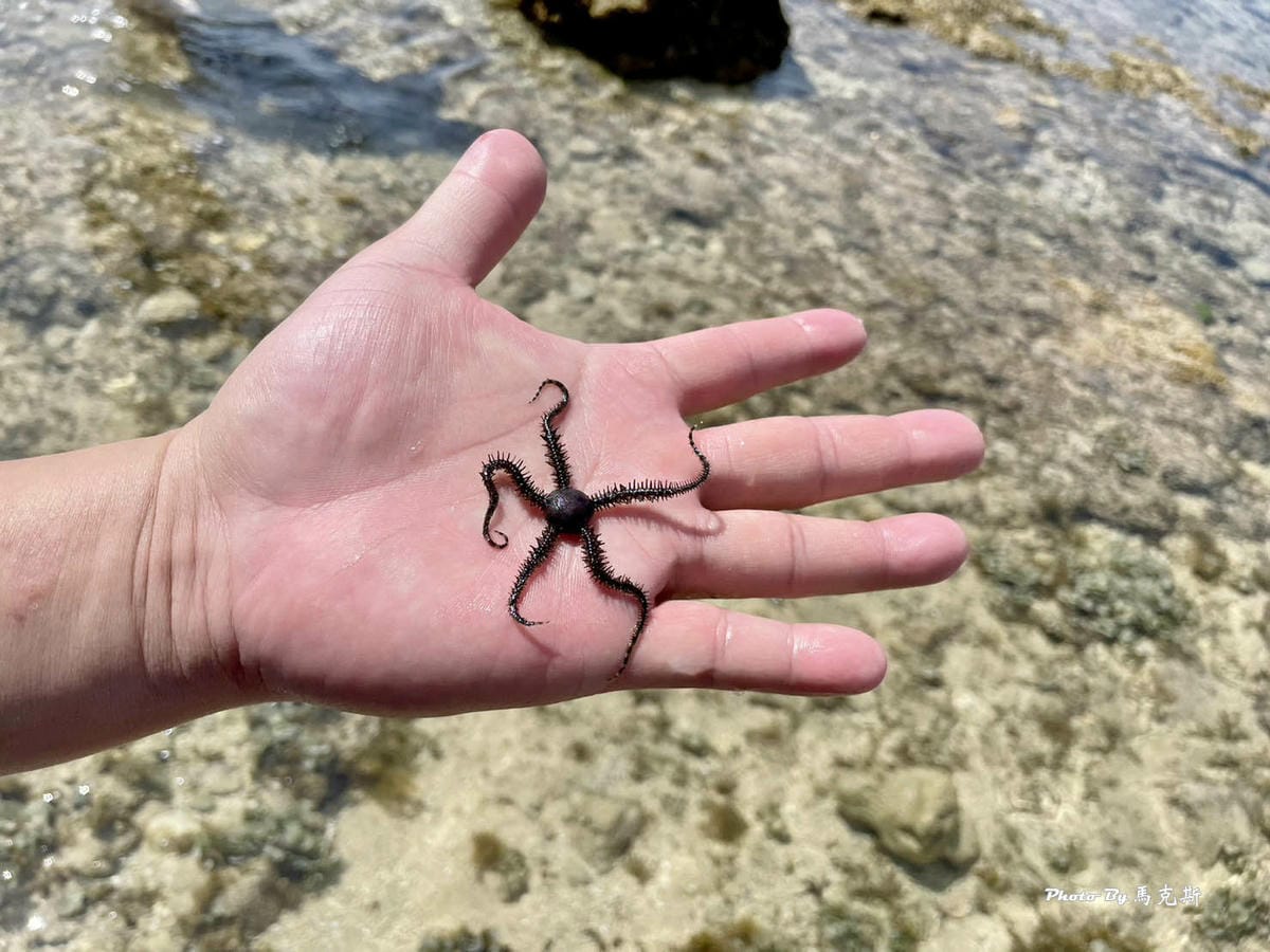 【小琉球景點推薦】蛤板灣潮間帶+小琉球祕境親吻石|素有台版威 【小琉球景點推薦】蛤板灣潮間帶+小琉球祕境親吻石|素有台版威