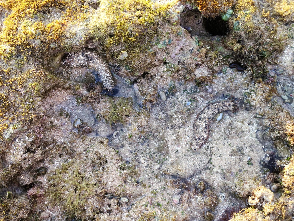 IMG_7410_調整大小 (2) IMG_7410_調整大小 (2)