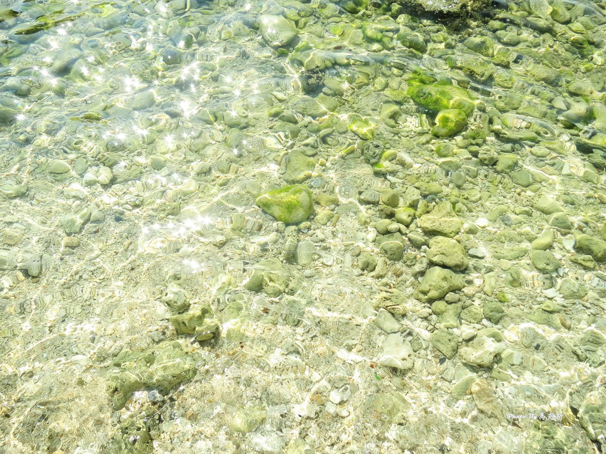 IMG_7330_調整大小 (2) IMG_7330_調整大小 (2)