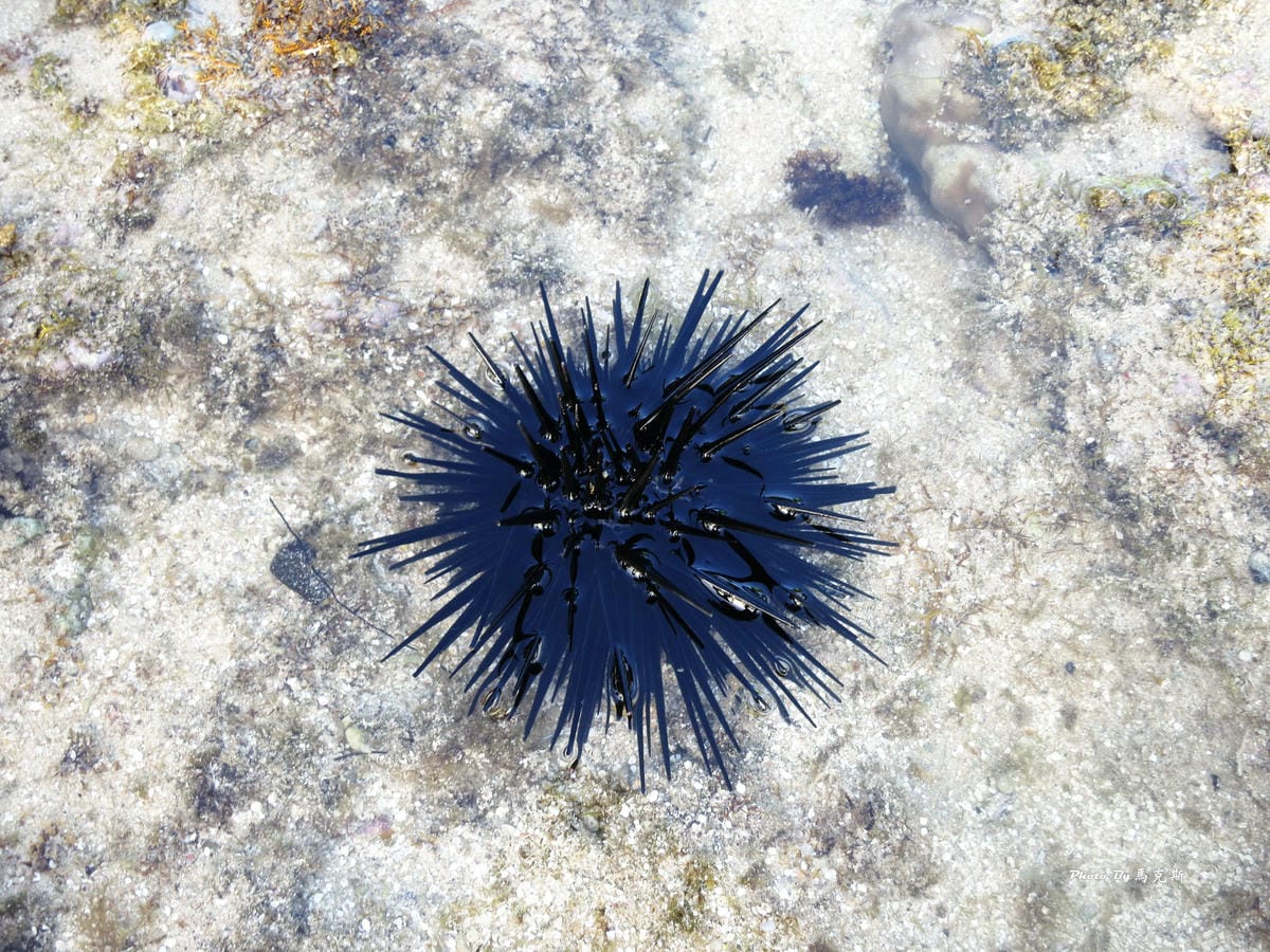 IMG_7395_調整大小 IMG_7395_調整大小