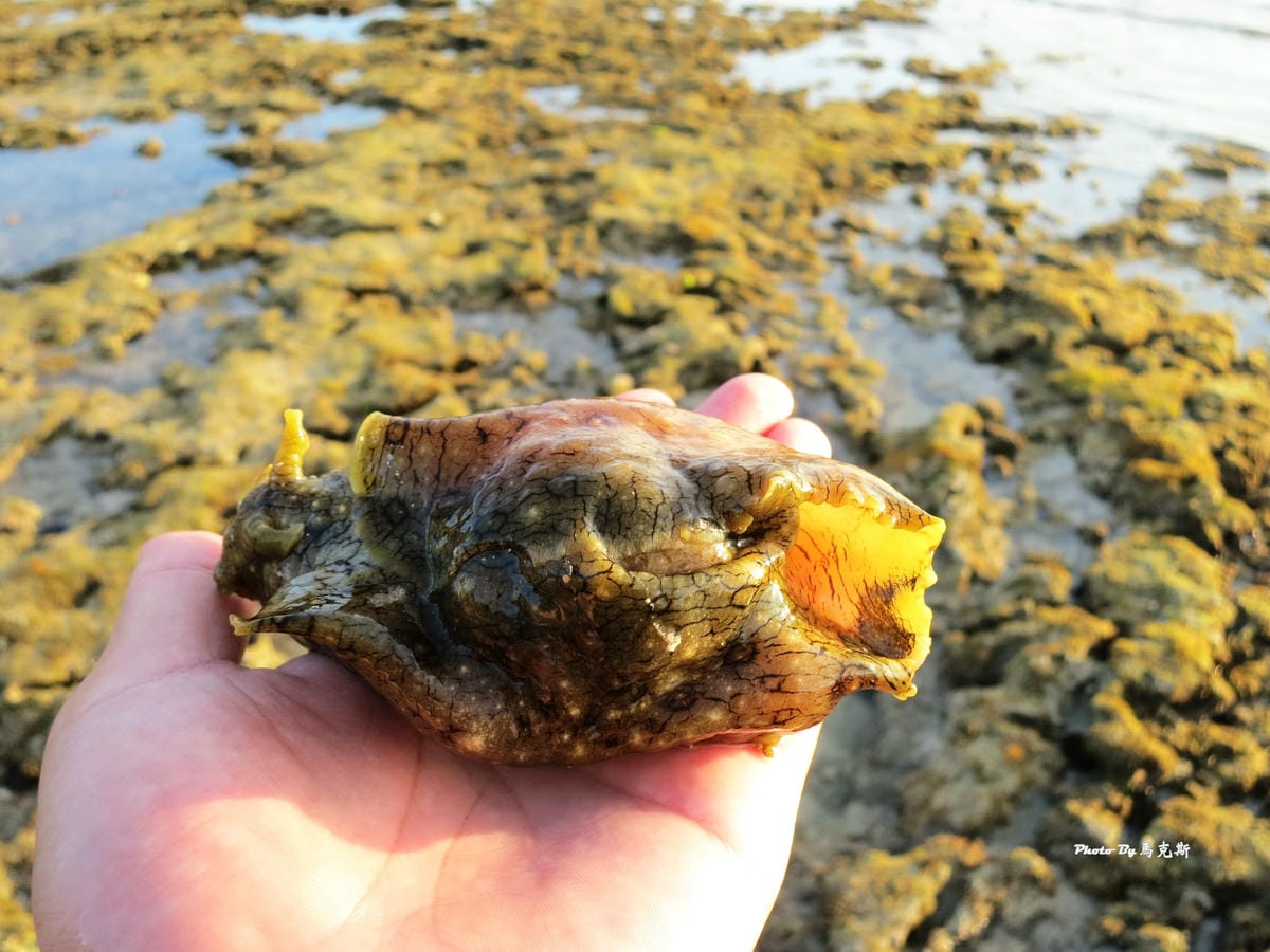 IMG_7415_調整大小 (3) IMG_7415_調整大小 (3)