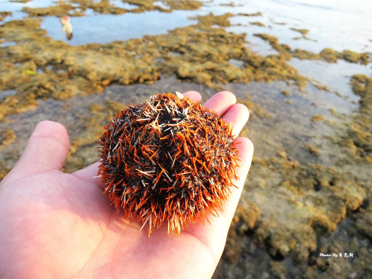 IMG_7420_調整大小 (2) IMG_7420_調整大小 (2)