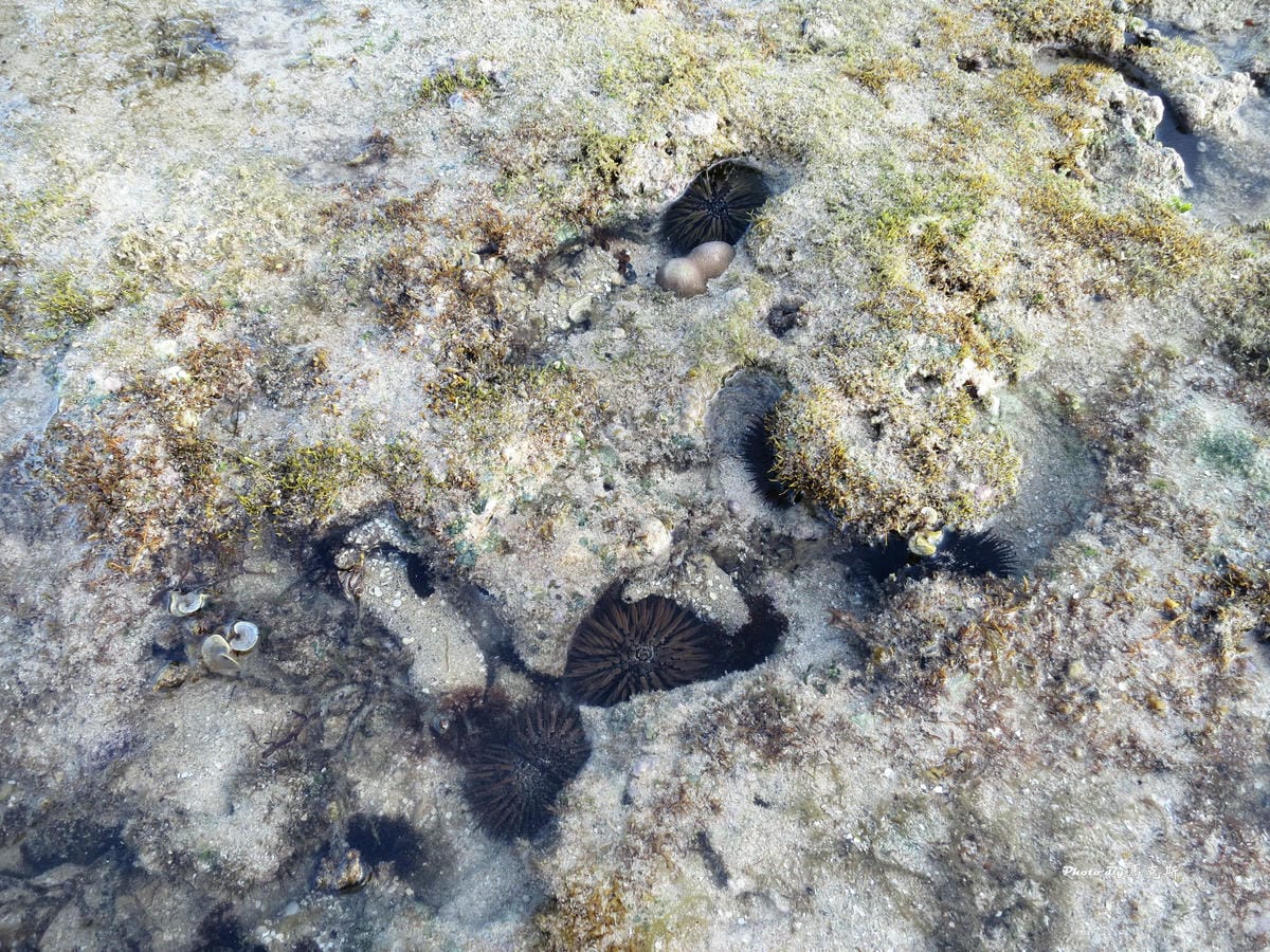 IMG_7392_調整大小 IMG_7392_調整大小