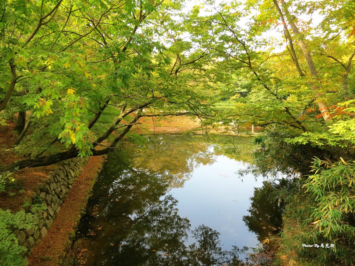 IMG_7540_調整大小