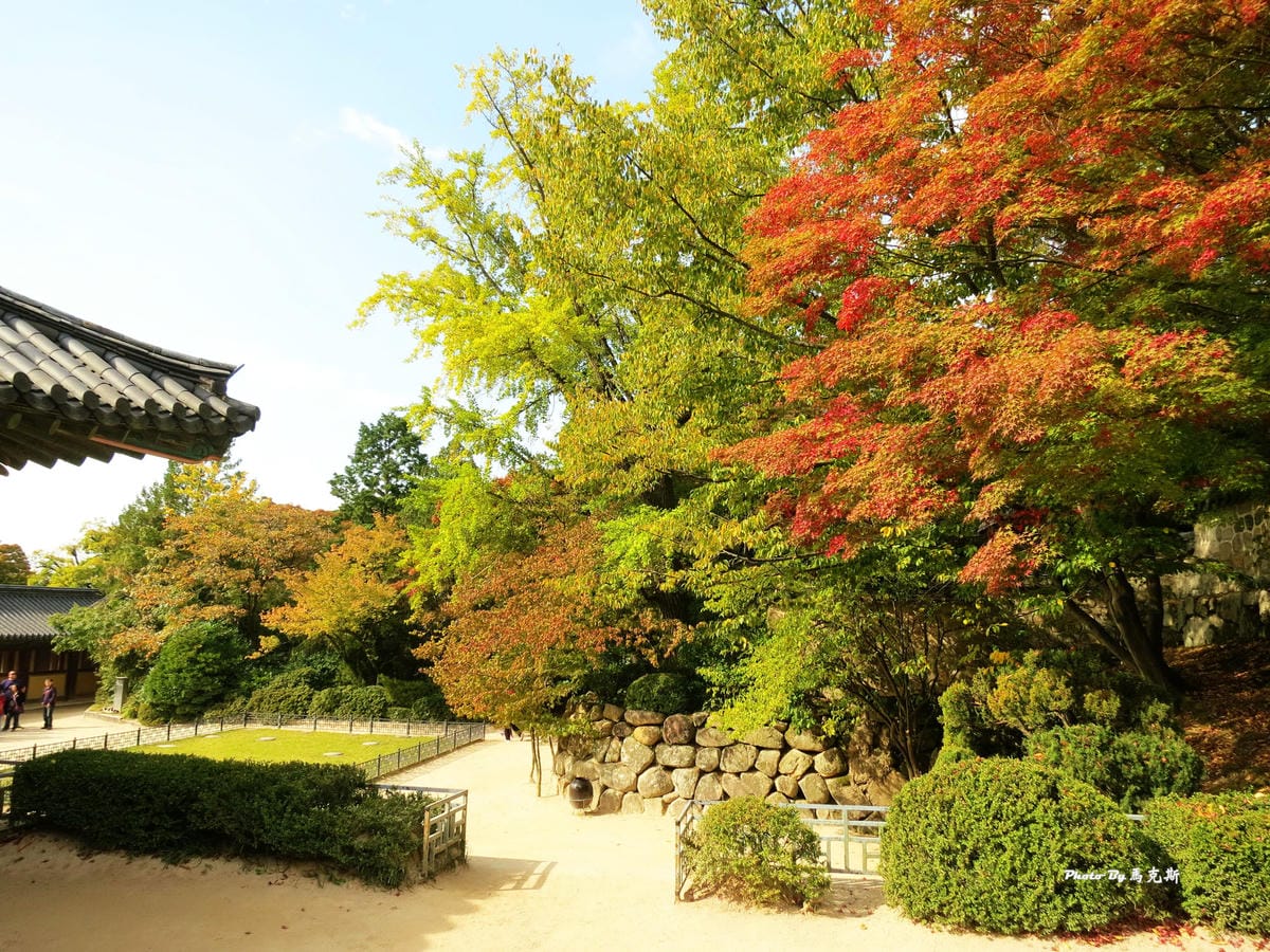 IMG_7620_調整大小 (2)