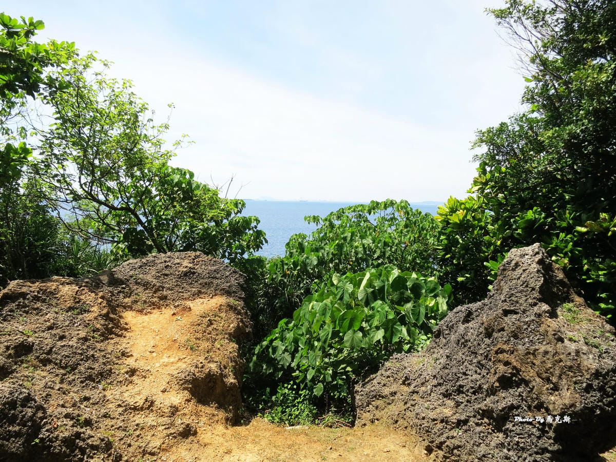 IMG_7420_調整大小 IMG_7420_調整大小