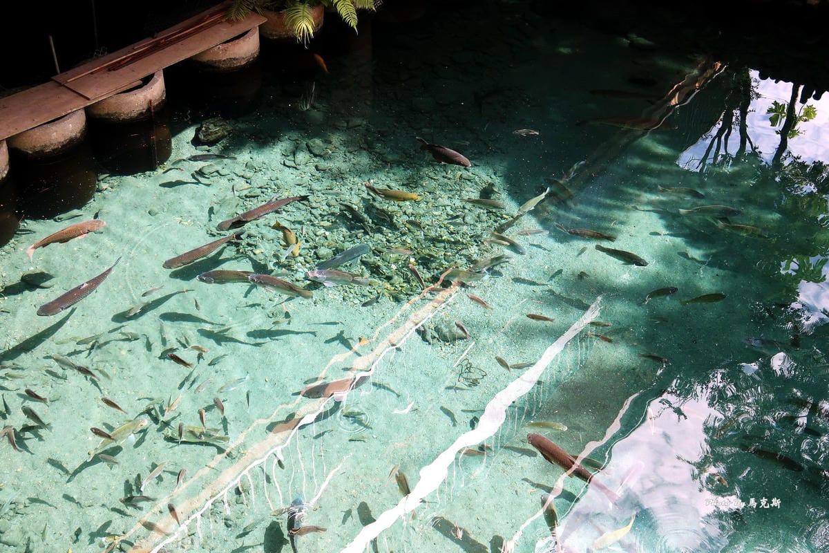 IMG_6035_調整大小 IMG_6035_調整大小