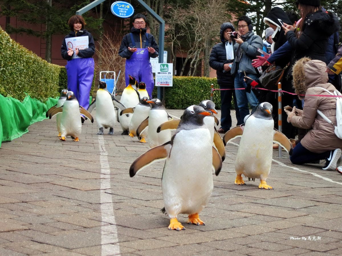 IMG_1044_調整大小 IMG_1044_調整大小