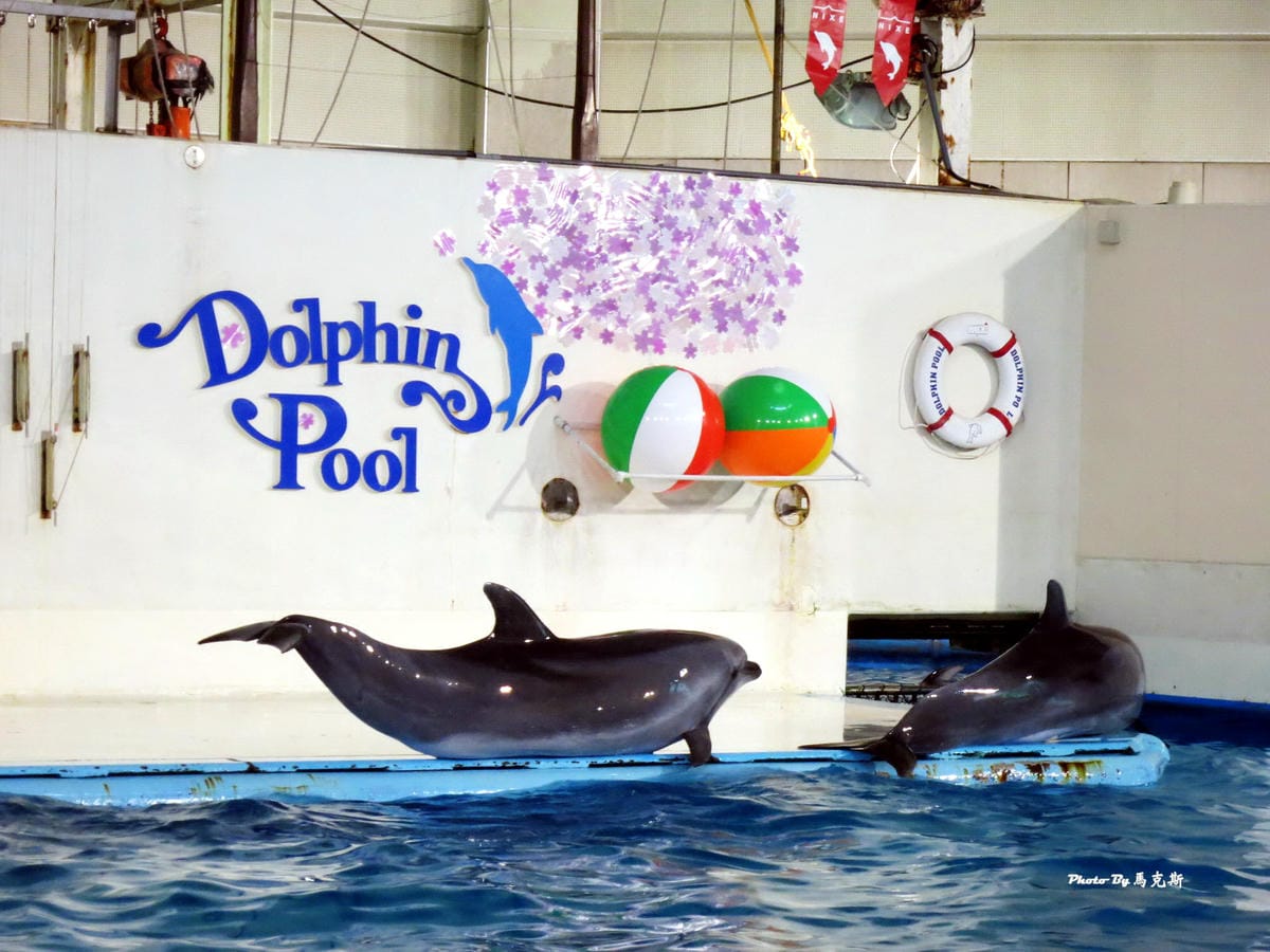 IMG_1060_調整大小 IMG_1060_調整大小